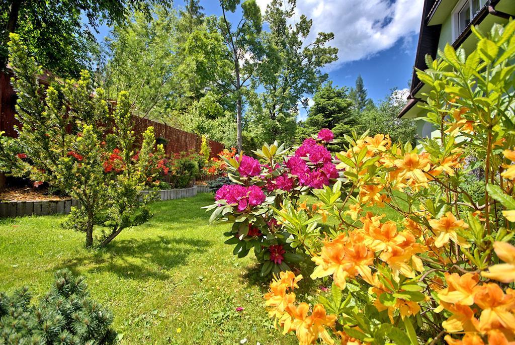 Amicus Zakopane